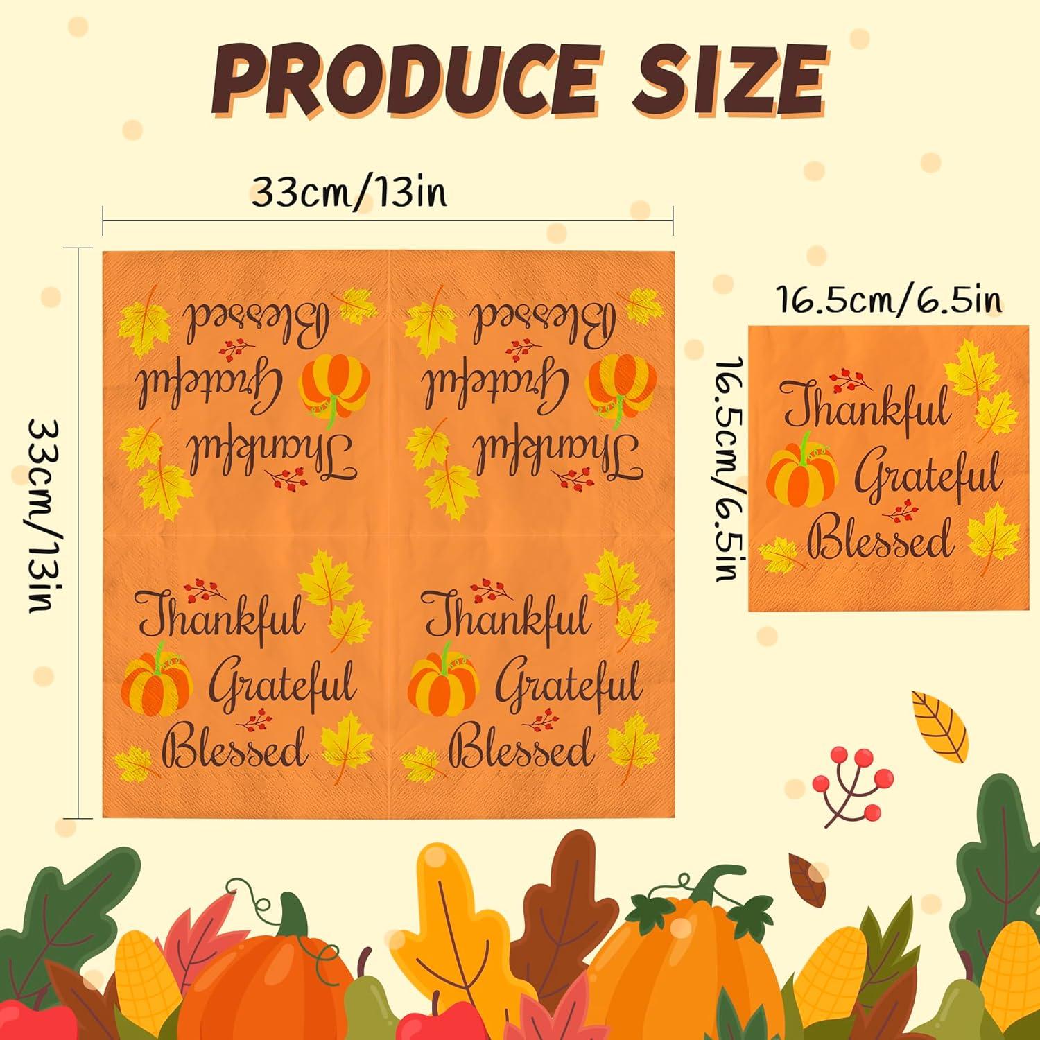 image:imageOHOME Thanksgiving Napkins Thanksgiving Table Decor for Indoor Outdoor Friendsgiving Party Decorations Favors Supplies for DinnerFall Tissue Plates Paper Disposable Placemats