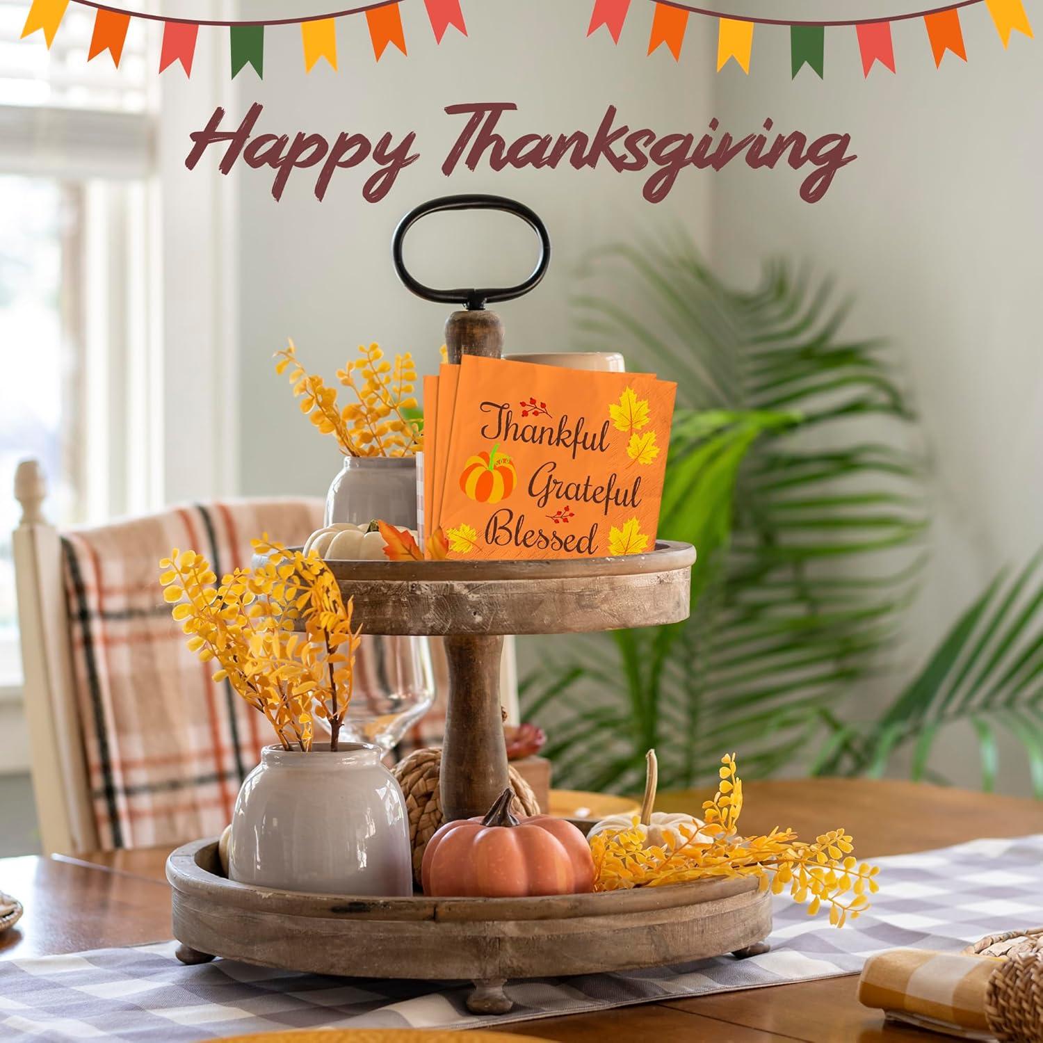 image:imageOHOME Thanksgiving Napkins Thanksgiving Table Decor for Indoor Outdoor Friendsgiving Party Decorations Favors Supplies for DinnerFall Tissue Plates Paper Disposable Placemats